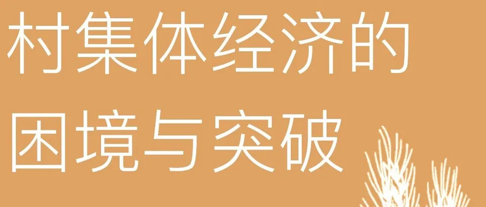 乡村振兴︱村集体经济的困境如何突破 image